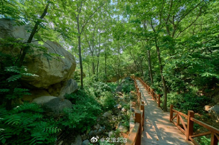 绿荫栈道！清凉秘境！端午，去京郊遇见现实版“绿野仙踪”