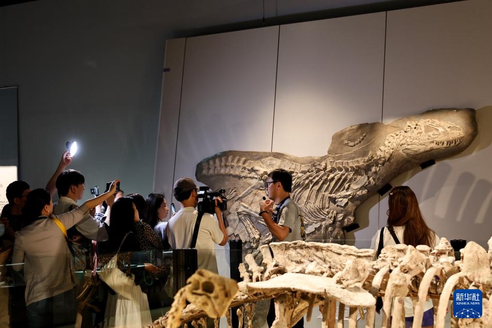 中国恐龙大展在上海开幕 中国恐龙大展在上海开幕