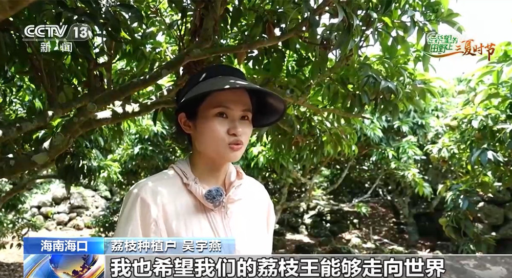 农产品出口迎来新机遇 为返乡创业青年提供了新舞台 农产品出口迎来新机遇 为返乡创业青年提供了新舞台