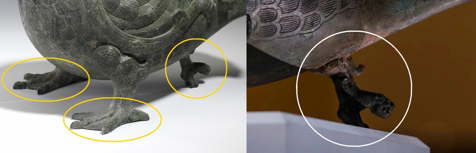 2000多年前,有一只长着鸭脚蹼的鸟 2000多年前,有一只长着鸭脚蹼的鸟