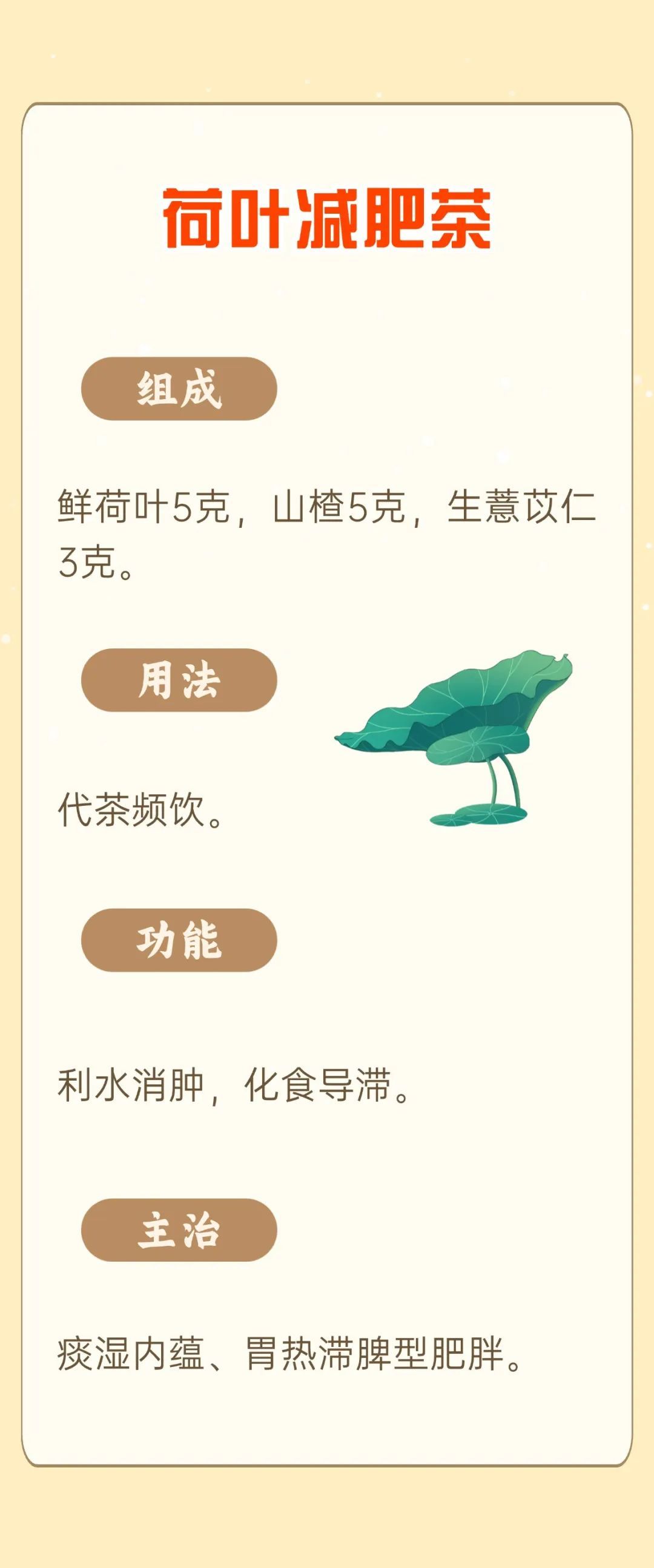 中医减肥讲究辨证,怎么减?方法在这里 中医减肥讲究辨证,怎么减?方法在这里