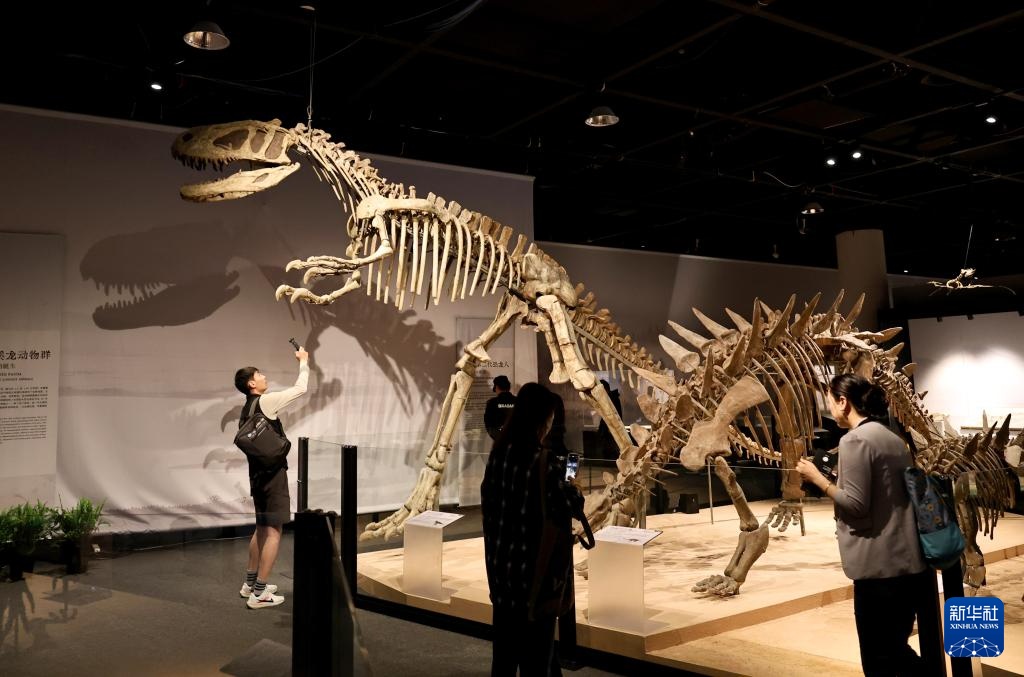中国恐龙大展在上海开幕 中国恐龙大展在上海开幕