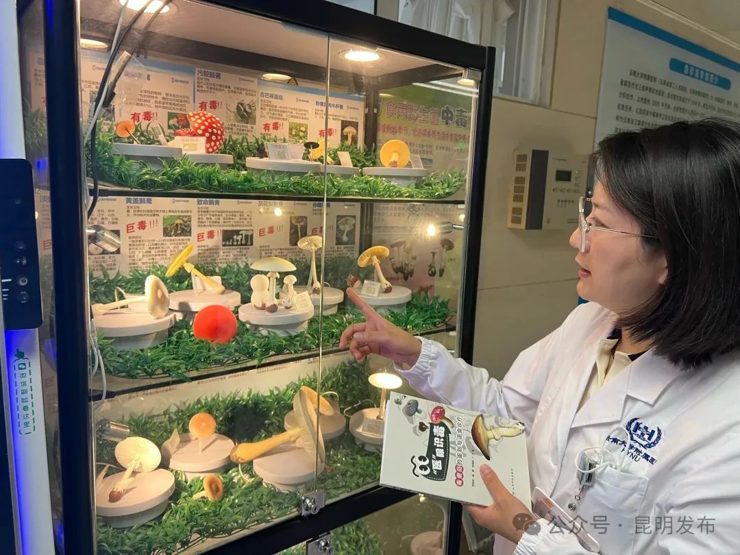 如何预防野生菌中毒?专家来教你→ 如何预防野生菌中毒?专家来教你→