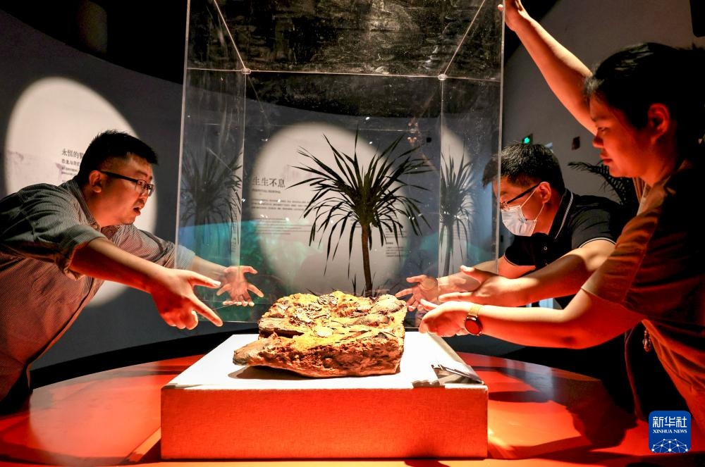 中国恐龙大展在上海开幕 中国恐龙大展在上海开幕