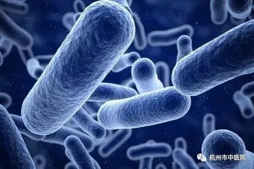 一碗下肚,37周宝宝胎死腹中!竟是家中"藏毒"…快自查→ 一碗下肚,37周宝宝胎死腹中!竟是家中"藏毒"…快自查→