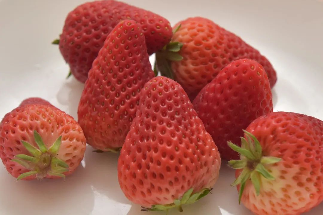 想要衰老慢、寿命长，吃对这4种食物很关键！