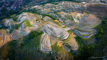 好看!山东五莲梯田美景宛如画卷 好看!山东五莲梯田美景宛如画卷