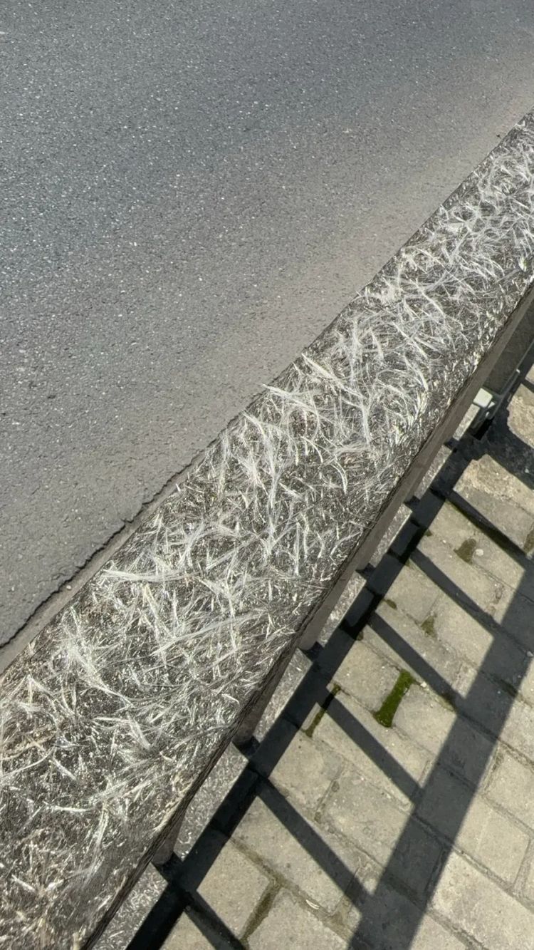上海街头惊现“栏杆刺客”！道路护栏“长出”玻璃纤维刺伤市民，怎么回事？
