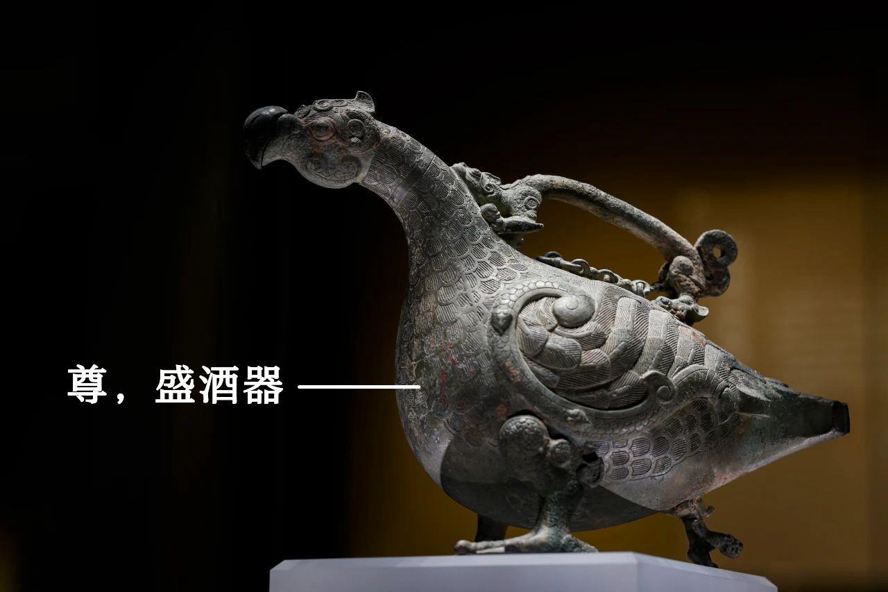 2000多年前,有一只长着鸭脚蹼的鸟 2000多年前,有一只长着鸭脚蹼的鸟