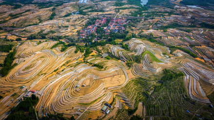 好看!山东五莲梯田美景宛如画卷 好看!山东五莲梯田美景宛如画卷