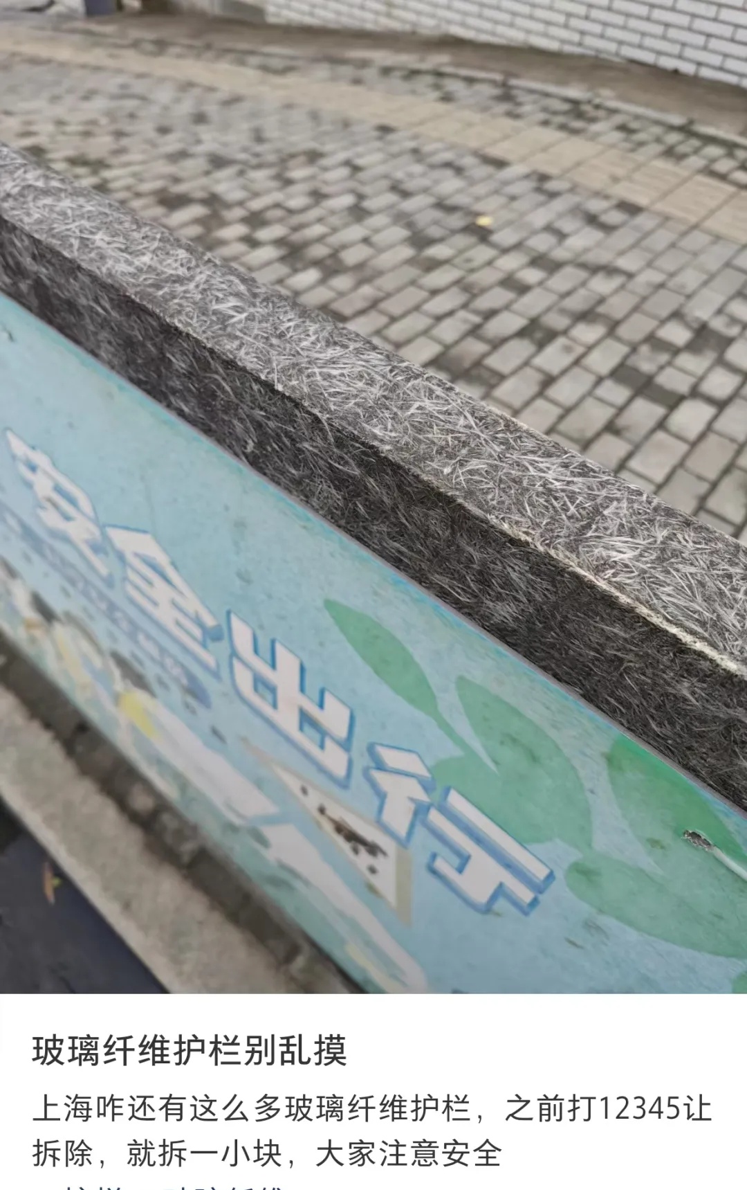 别摸！上海街头惊现“刺客”，不少市民被刺伤，女子崩溃：去医院也清理不干净！