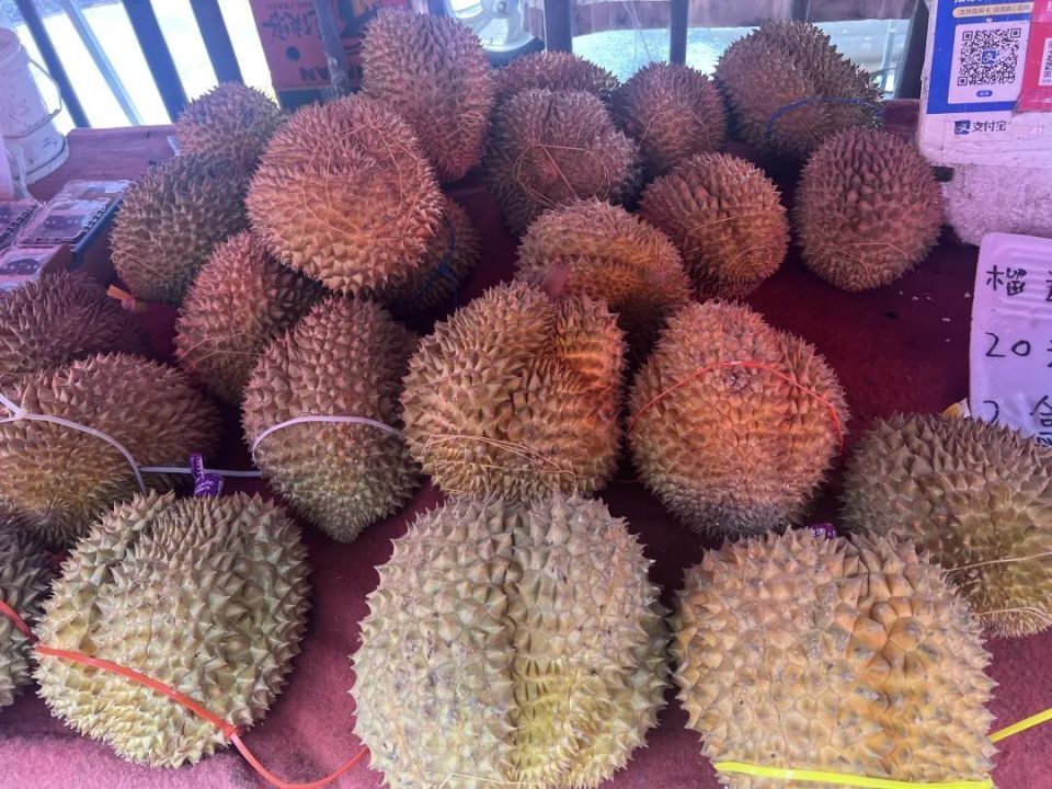 价格大幅下降!榴莲大量上市,预计还要降 价格大幅下降!榴莲大量上市,预计还要降