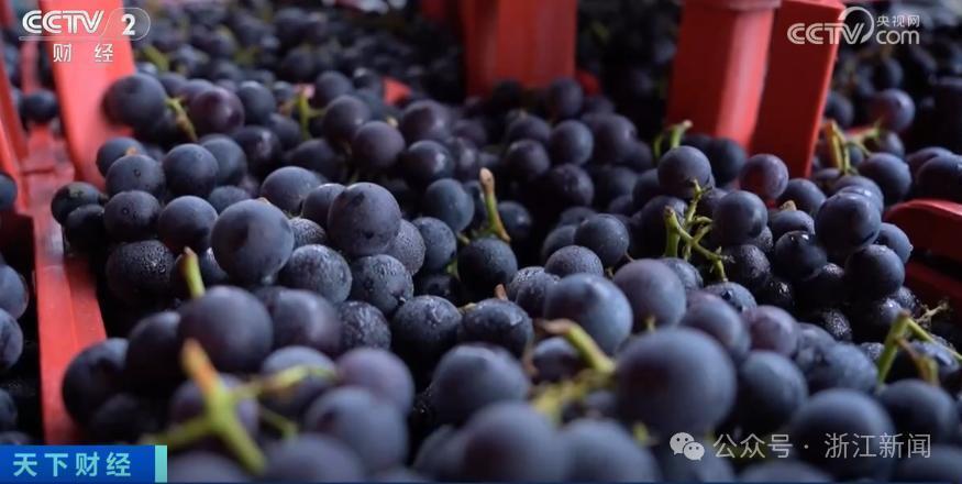 价格大幅下降!榴莲大量上市,预计还要降 价格大幅下降!榴莲大量上市,预计还要降