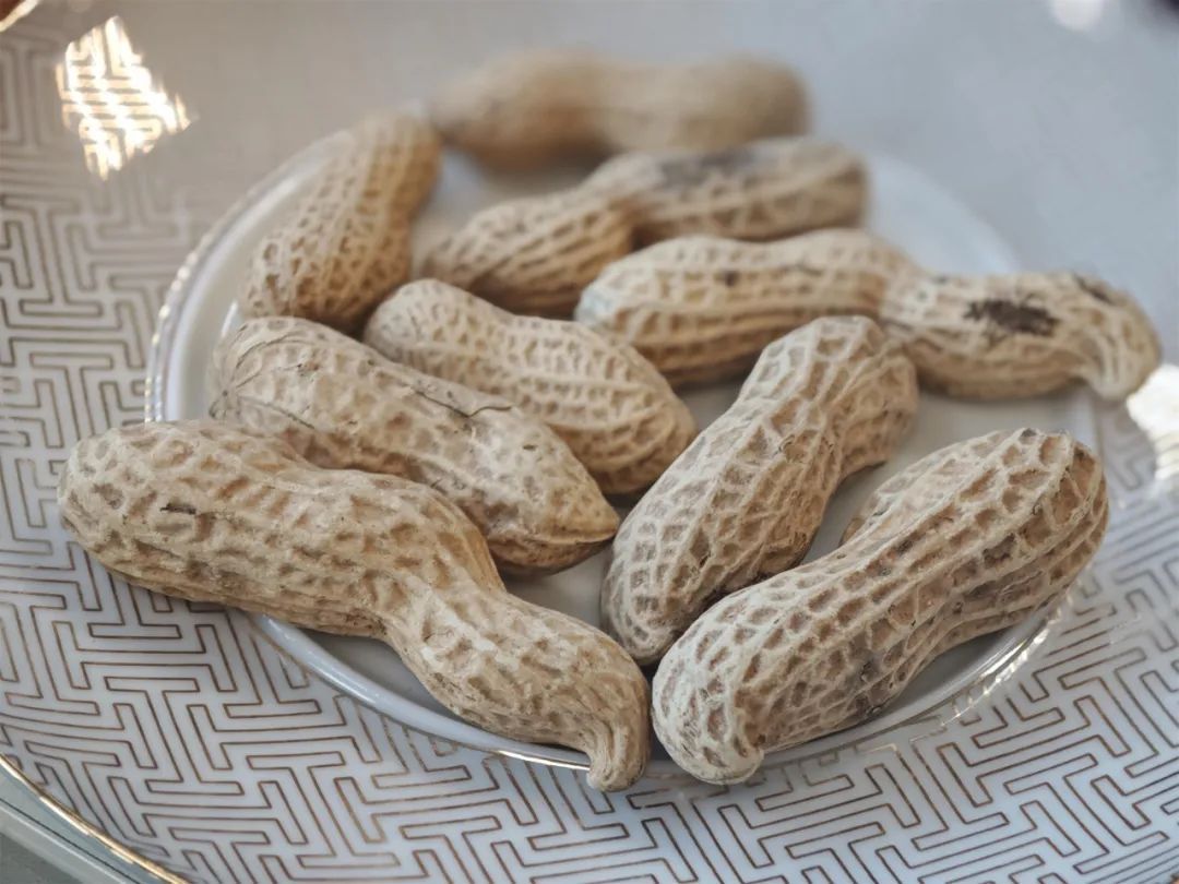 花生是“长寿果”,每天一把花生,好处你想不到! 花生是“长寿果”,每天一把花生,好处你想不到!