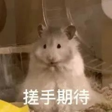 当代年轻人的血脉觉醒，是从“捡破烂”开始的...