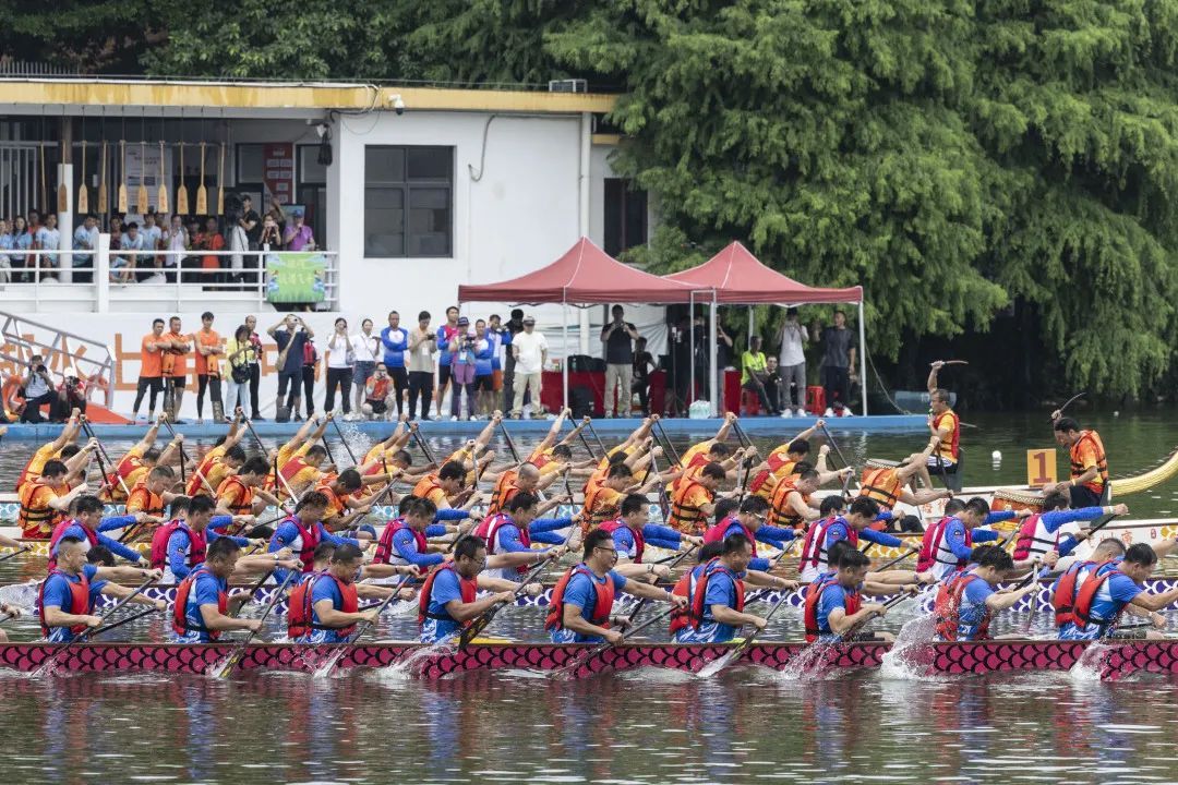 在广州,为何“房东”痴迷扒龙船? 在广州,为何“房东”痴迷扒龙船?
