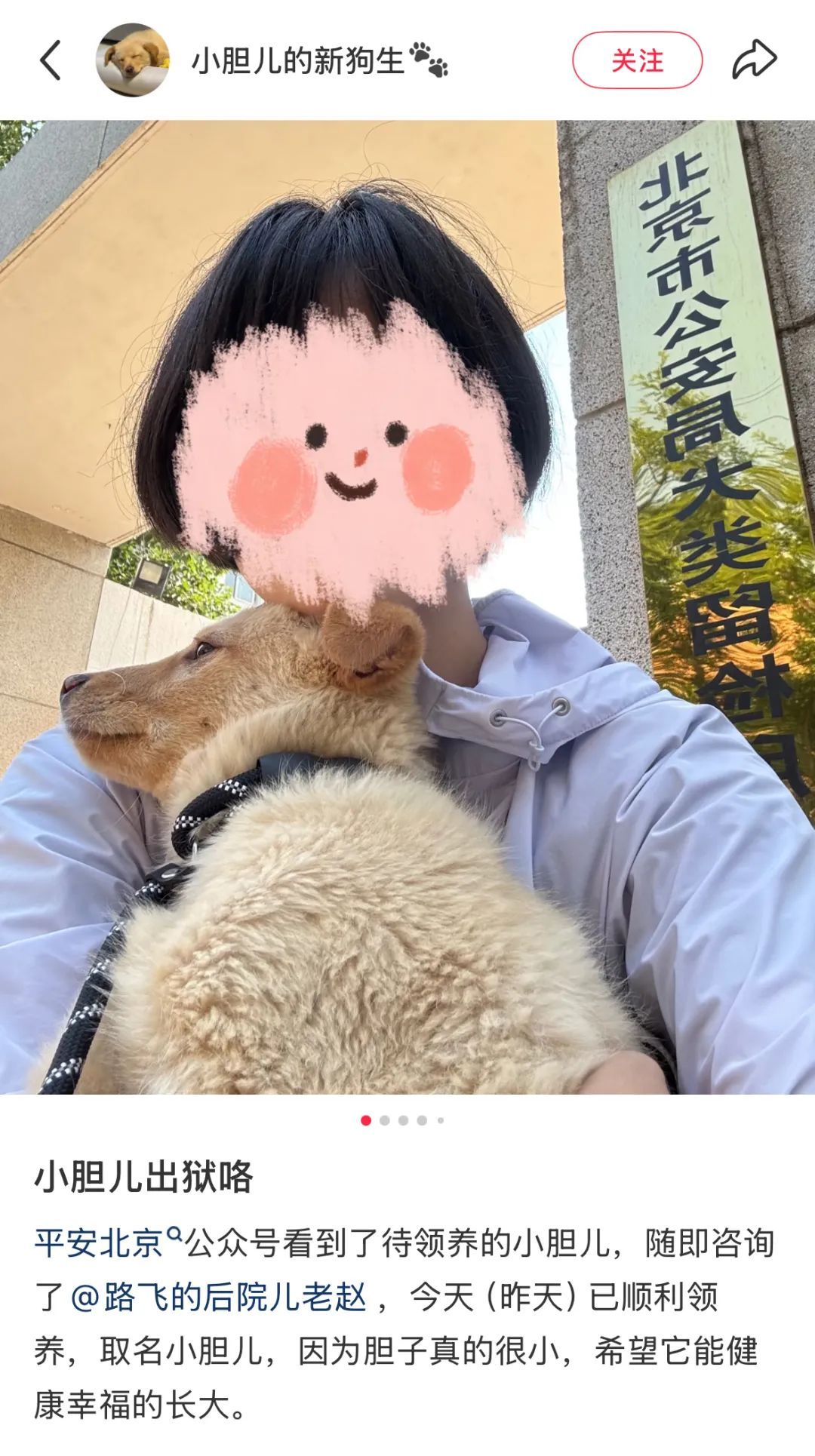 “北京公安局领养犬页面描述哭死我” “北京公安局领养犬页面描述哭死我”