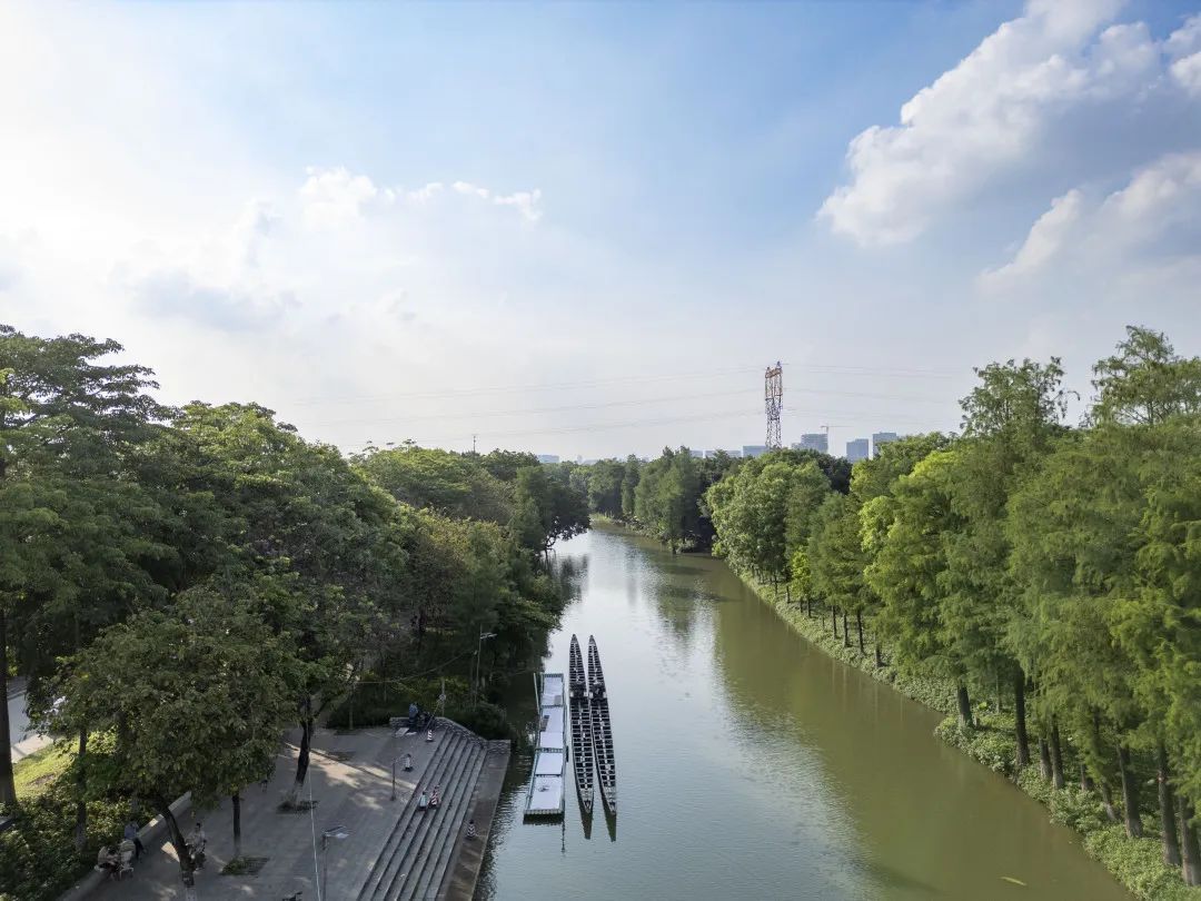 在广州,为何“房东”痴迷扒龙船? 在广州,为何“房东”痴迷扒龙船?