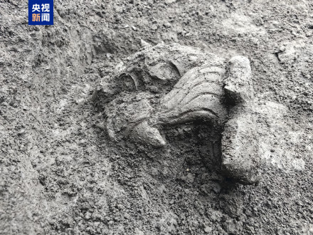 中国龙再添新形象、千年王冠重现……7项科技考古与文化遗产保护成果发布