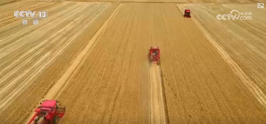 夏收“新图景”：智能化农机助力颗粒归仓