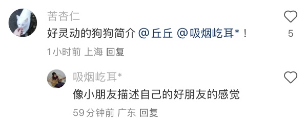 “北京公安局领养犬页面描述哭死我” “北京公安局领养犬页面描述哭死我”