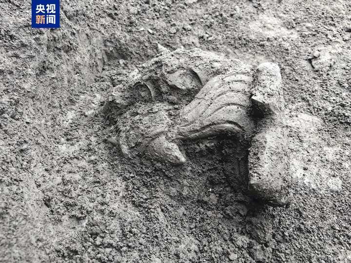 中国龙再添新形象、千年王冠重现……7项科技考古与文化遗产保护成果发布 中国龙再添新形象、千年王冠重现……7项科技考古与文化遗产保护成果发布