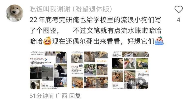 “北京公安局领养犬页面描述哭死我” “北京公安局领养犬页面描述哭死我”