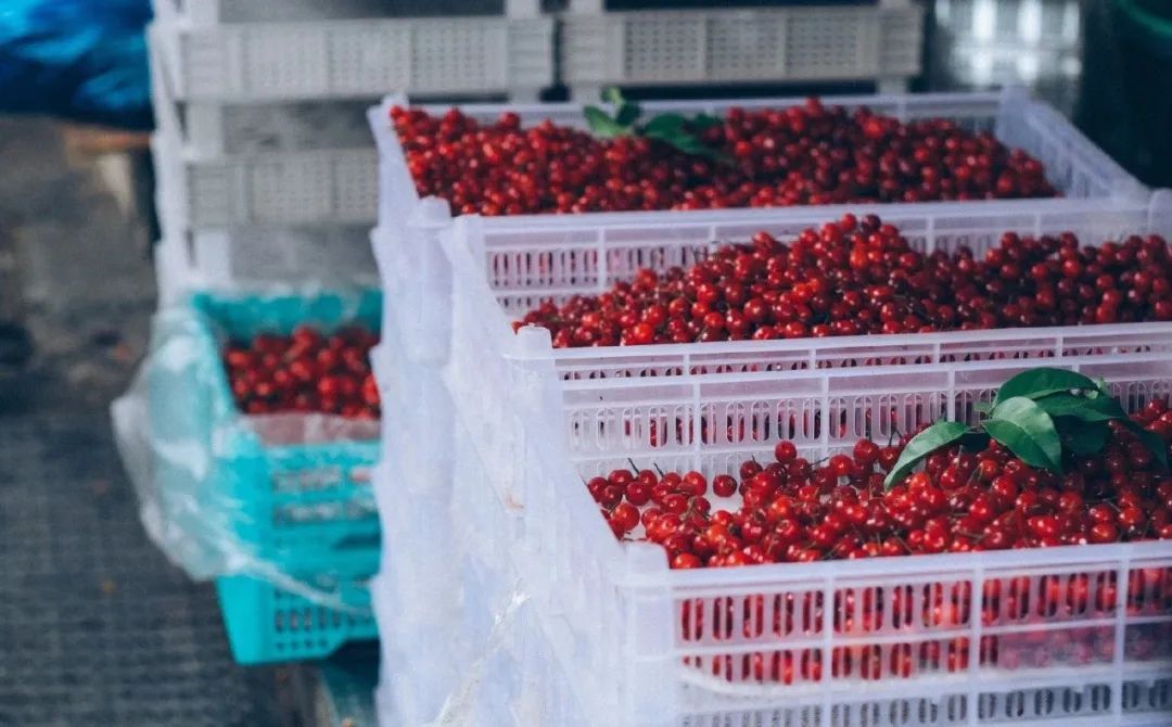 凌晨5点开始排队!心急的老杭州已提前出动!没人能空手走出这230米…… 凌晨5点开始排队!心急的老杭州已提前出动!没人能空手走出这230米……