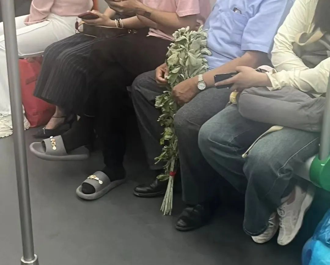 约1元每根!合肥已经大量上市 约1元每根!合肥已经大量上市