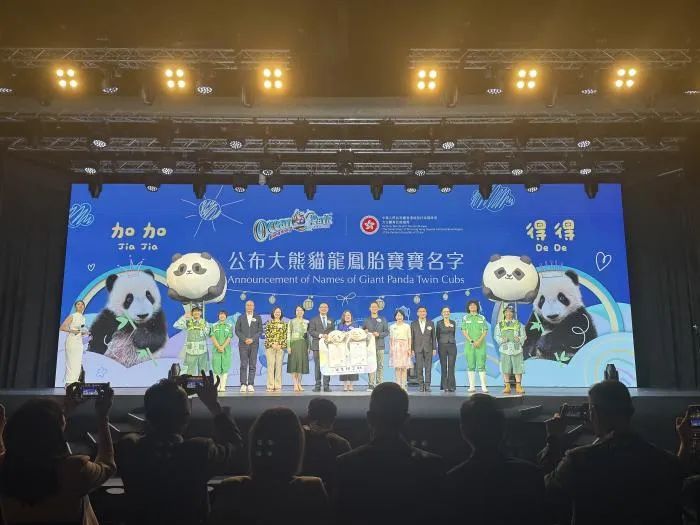 定了!香港顶流“加加”“得得”上线! 定了!香港顶流“加加”“得得”上线!