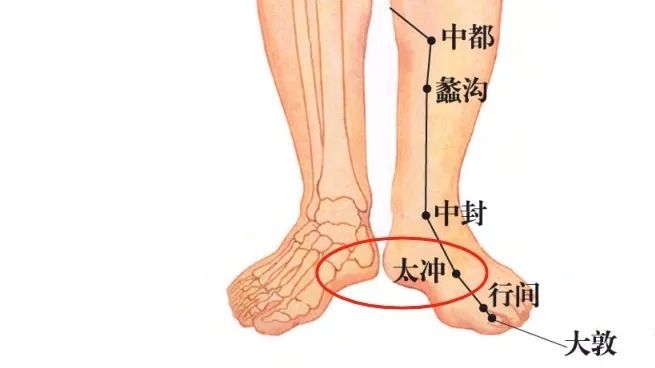 手上青筋越多,说明身体越……赶紧看看自己的手! 手上青筋越多,说明身体越……赶紧看看自己的手!