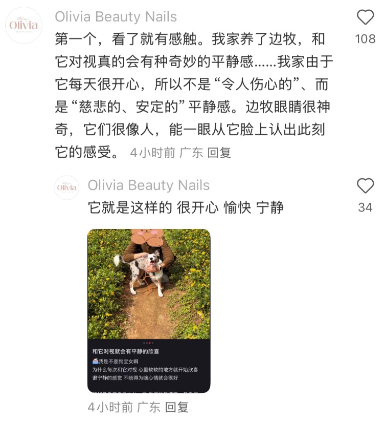 “北京公安局领养犬页面描述哭死我” “北京公安局领养犬页面描述哭死我”