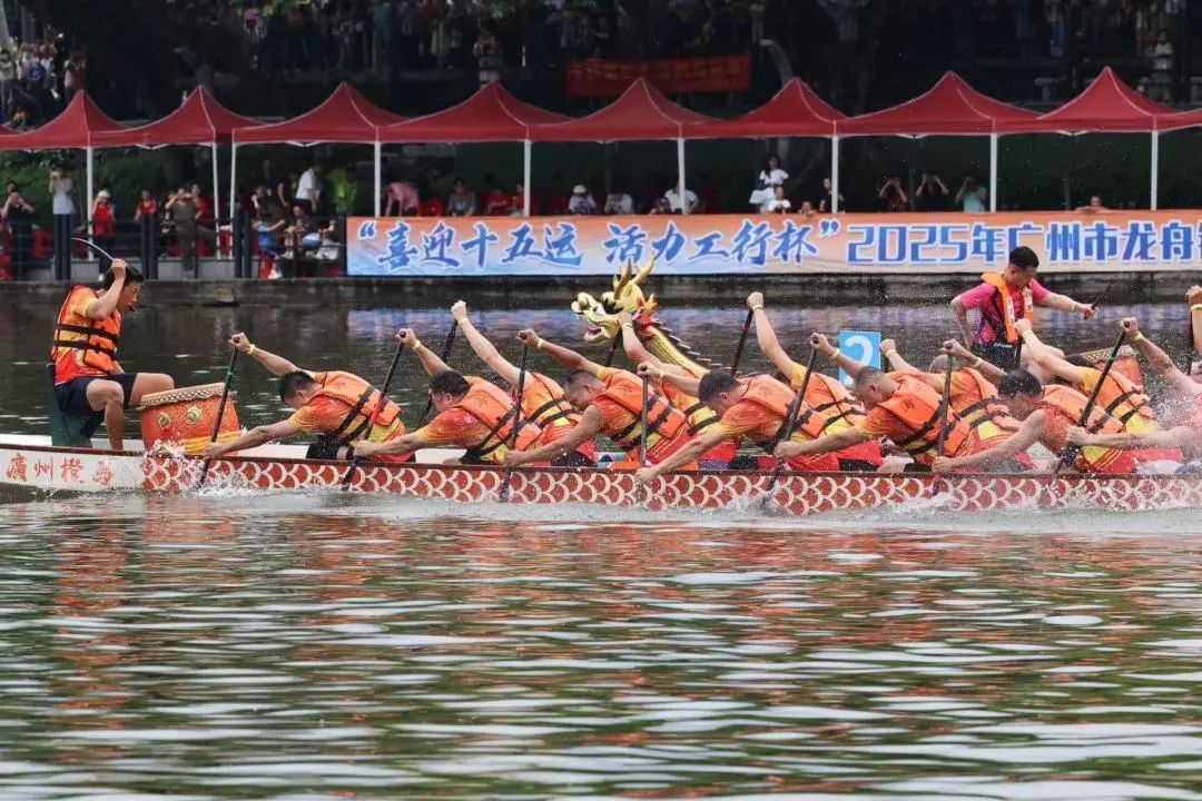 在广州,为何“房东”痴迷扒龙船? 在广州,为何“房东”痴迷扒龙船?
