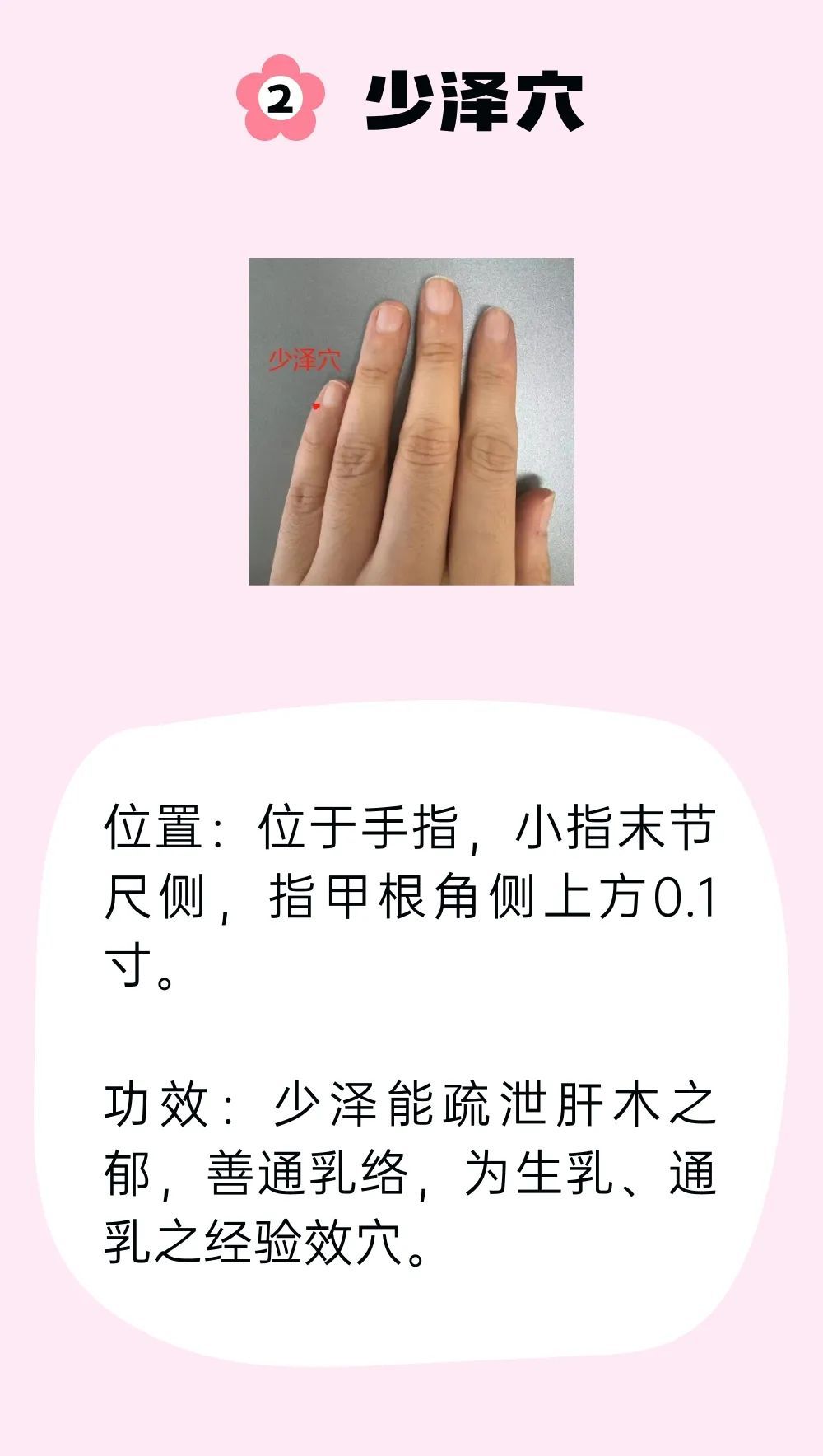 催乳不能只靠喝汤！油腻浓汤可能囤积脂肪，跟着中医调理才靠谱