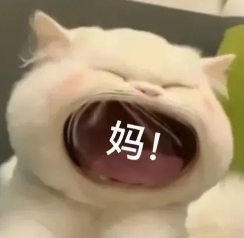 当你在家庭群发“妈我饿了”0.5秒后你就会收到…… 当你在家庭群发“妈我饿了”0.5秒后你就会收到……