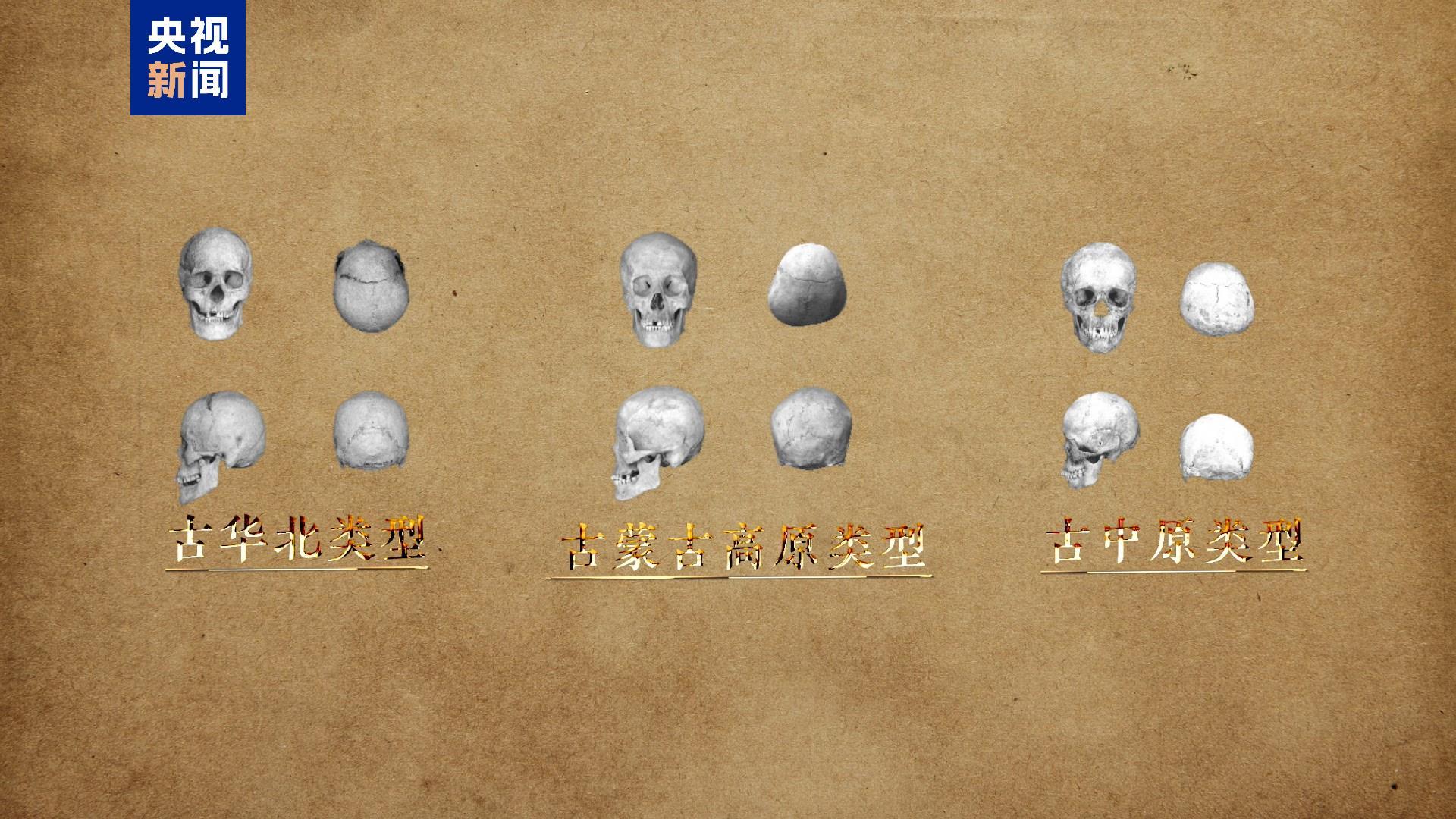 中国龙再添新形象、千年王冠重现……7项科技考古与文化遗产保护成果发布 中国龙再添新形象、千年王冠重现……7项科技考古与文化遗产保护成果发布