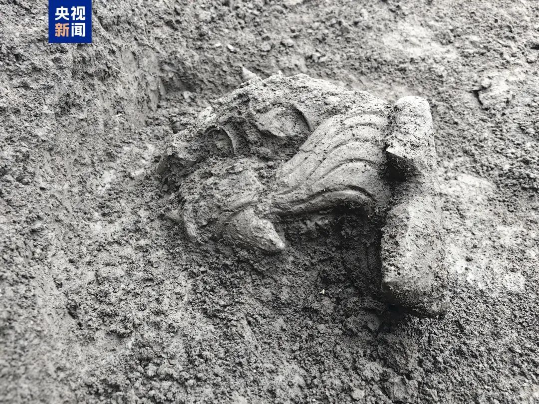 千年王冠重现! 千年王冠重现!