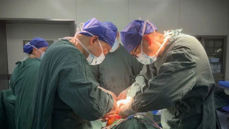 杭州一女子因登高采摘枇杷,竟导致骨折,专家提醒 杭州一女子因登高采摘枇杷,竟导致骨折,专家提醒