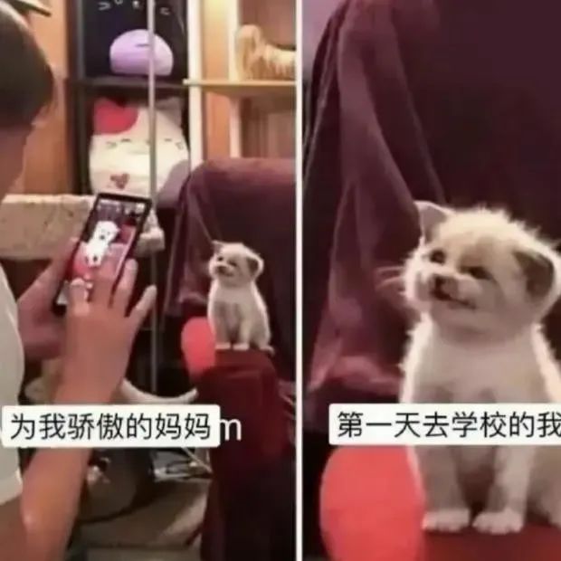 当你在家庭群发“妈我饿了”0.5秒后你就会收到…… 当你在家庭群发“妈我饿了”0.5秒后你就会收到……