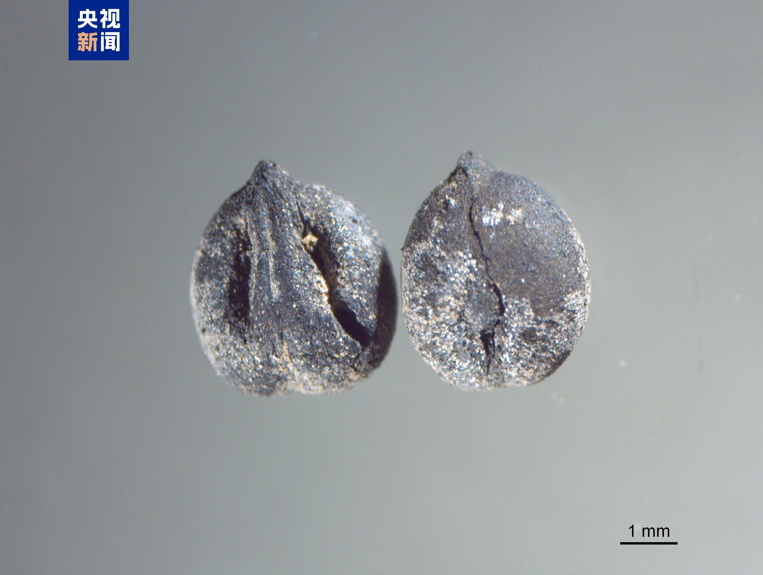 中国龙再添新形象、千年王冠重现……7项科技考古与文化遗产保护成果发布 中国龙再添新形象、千年王冠重现……7项科技考古与文化遗产保护成果发布