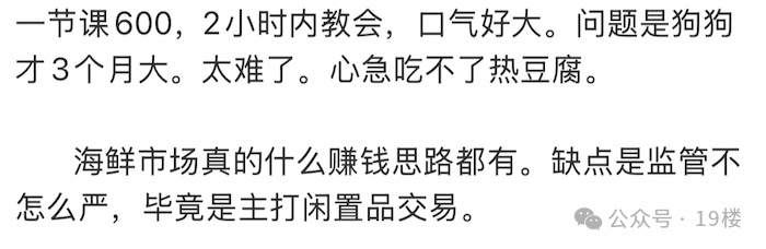 600块钱一节课教狗上厕所,没学会钱也不退…… 600块钱一节课教狗上厕所,没学会钱也不退……