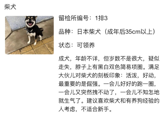 “北京公安局领养犬页面描述哭死我” “北京公安局领养犬页面描述哭死我”