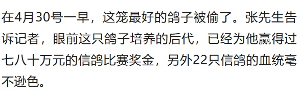 50万天价信鸽一夜被偷,翅膀全剪!盗贼竟是“内行”? 50万天价信鸽一夜被偷,翅膀全剪!盗贼竟是“内行”?
