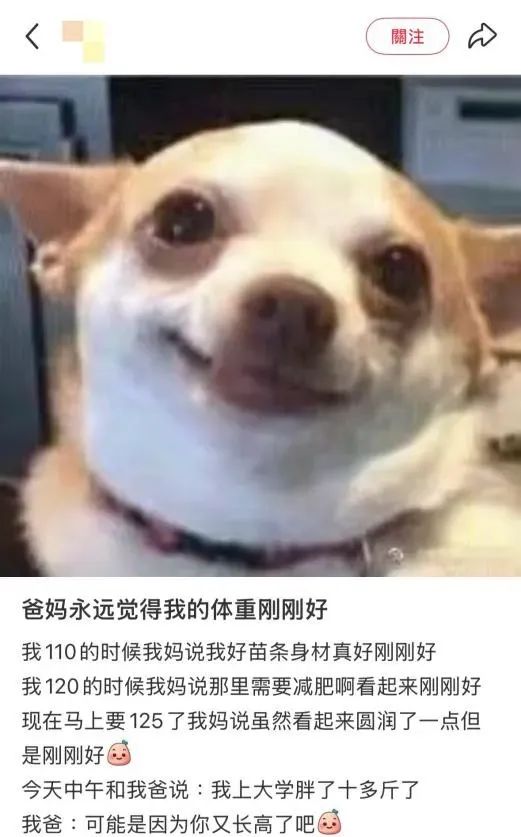 当你在家庭群发“妈我饿了”0.5秒后你就会收到…… 当你在家庭群发“妈我饿了”0.5秒后你就会收到……