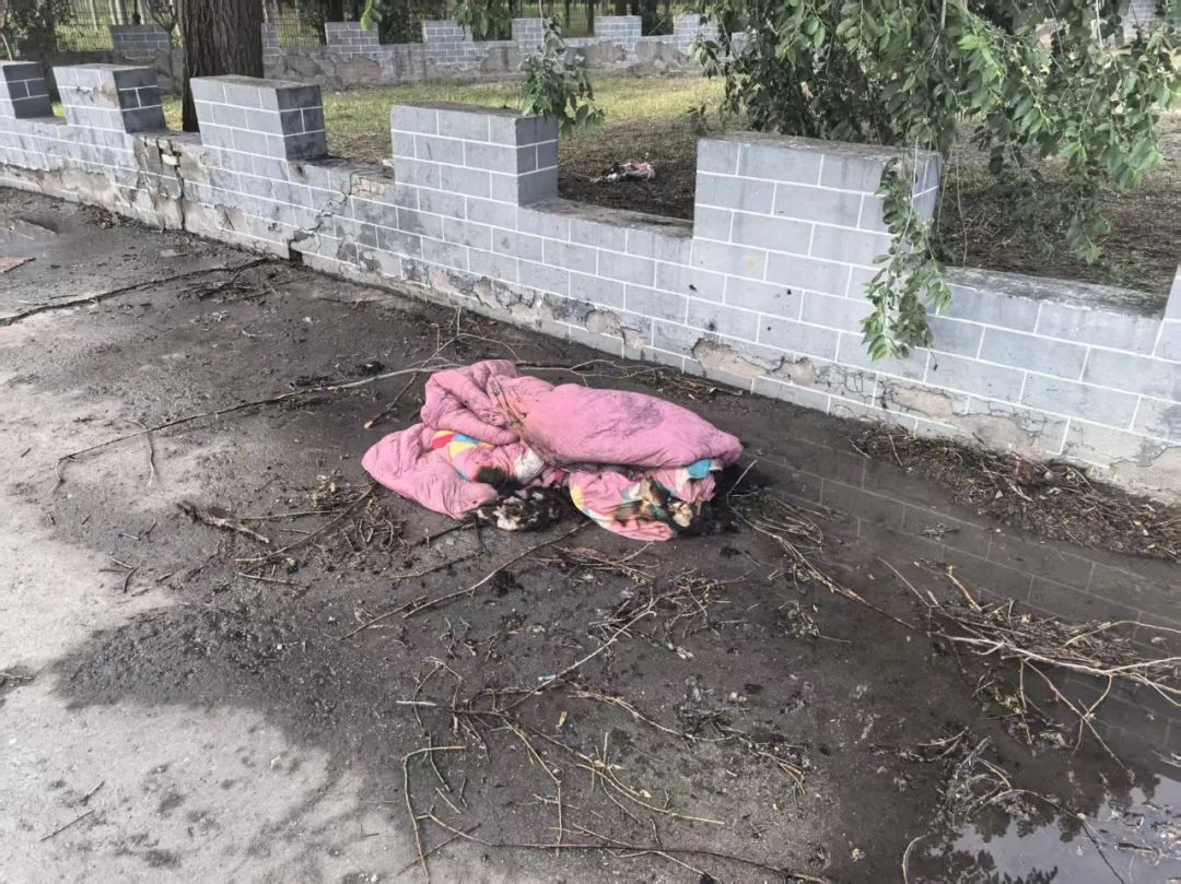 车辆起火,北京消防及时处置 车辆起火,北京消防及时处置