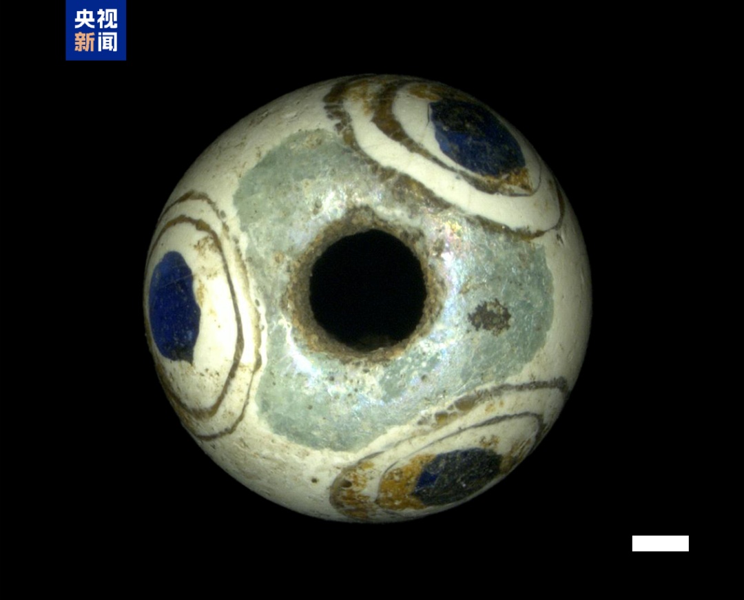 千年王冠重现! 千年王冠重现!