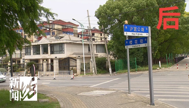 一摸就扎手！上海这些路边“刺客”到底什么来头？