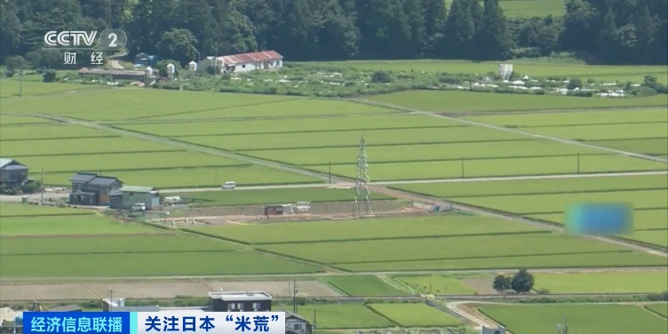 米价飙涨!日本民众分食米饭精确到克,偷盗猖獗! 米价飙涨!日本民众分食米饭精确到克,偷盗猖獗!