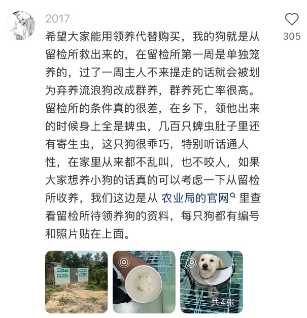 “北京公安局领养犬页面描述哭死我” “北京公安局领养犬页面描述哭死我”