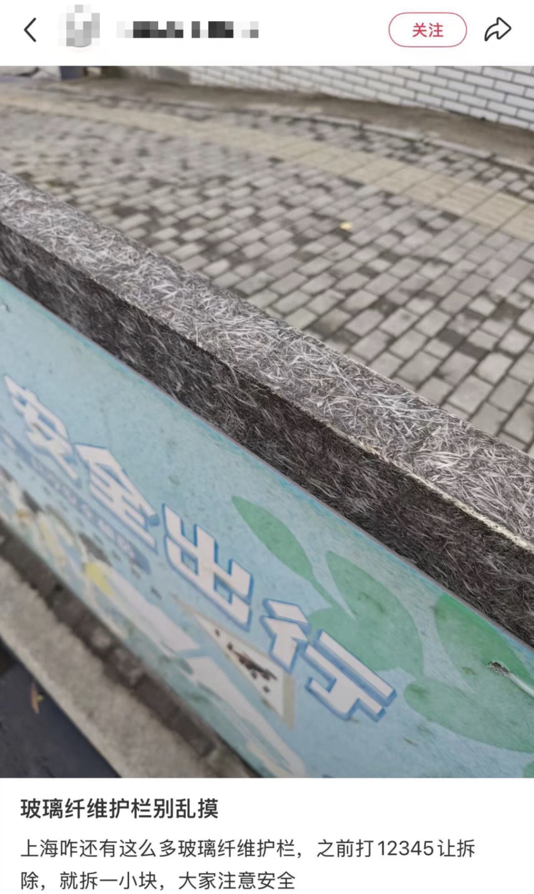 一摸就扎手！上海这些路边“刺客”到底什么来头？